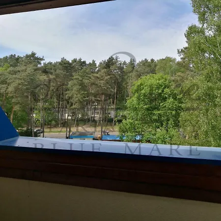 De Luxe Blue Mare